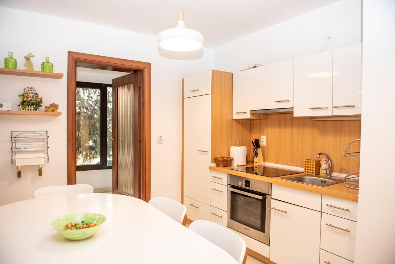 Classic Apartment Near The City Center Cluj-Napoca Exterior photo